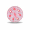 TRUX TLED-48CR 4" Round Clear Red Stop, Turn & Tail Economy LED Light 8 Diodes