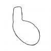 PAI 831019 Volvo Mack Water Pump Gasket Replaces 21415427