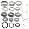 PAI 806866 Mack CRD151 Bearing Kit
