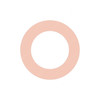 N000000001067 Detroit Merc Sealing Ring