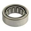 R1535TAV Pinion Nose Bearing