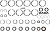216220 Eaton Bearing Overhaul Kit DL344, DS344/404/405, DS454, DST40, DST41