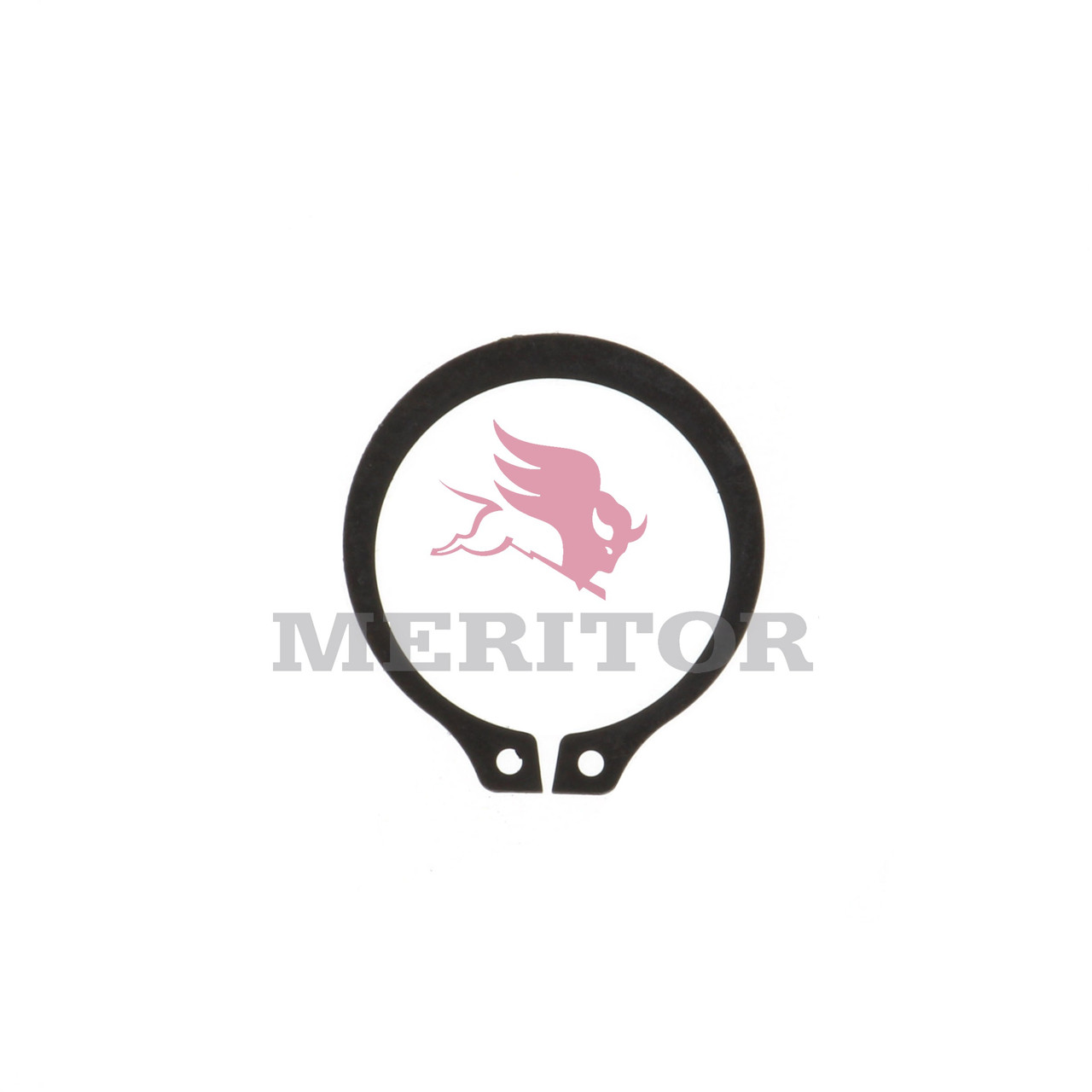 1229U1113 Rockwell Meritor Retainer SSHD