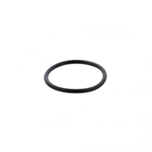 PAI 2951 O Ring Replaces Mack # 56AX513