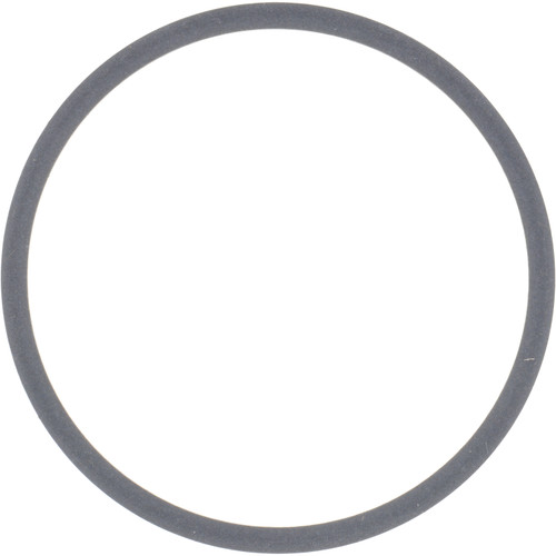 2110736 Dana Spicer Off-Highway Ring-Back Up