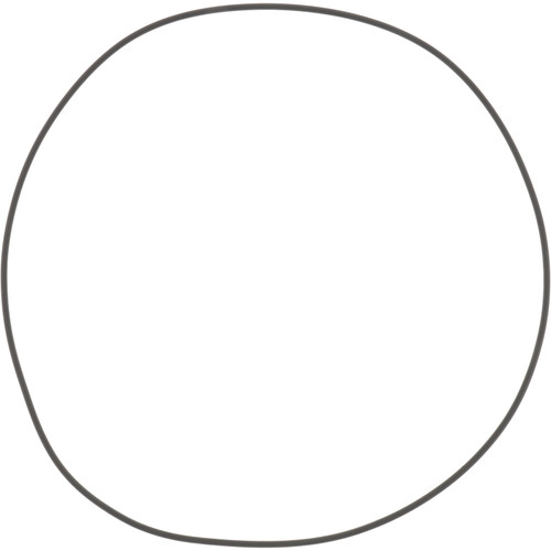 001.05.4849 Dana Spicer Off-Highway Ring