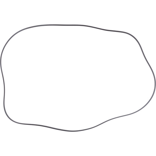 2106603 Dana Spicer Off-Highway Ring-Seal