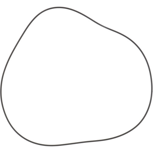 001.05.3338 Dana Spicer Off-Highway O Ring