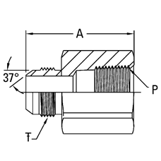 259-2022-4-4 SAE 37 DEGREE FLARE TO N