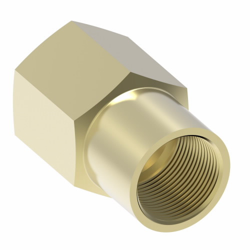 Aeroquip Inverted Female Connector Brass Straight | 252X3