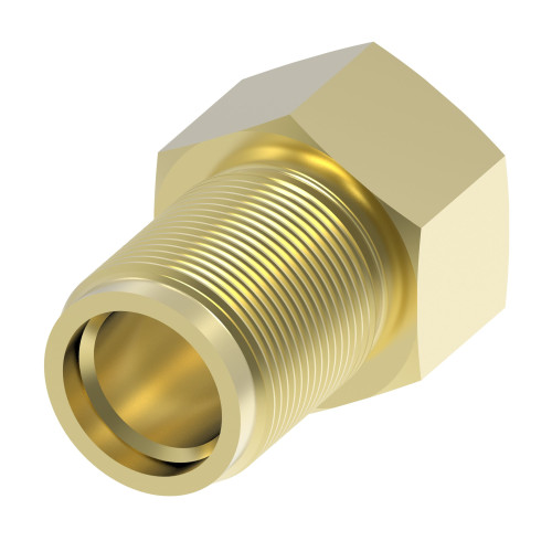 Aeroquip Brass Brake Fitting | 7818-CT