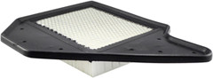Baldwin Filters PA4456 Panel Air Element