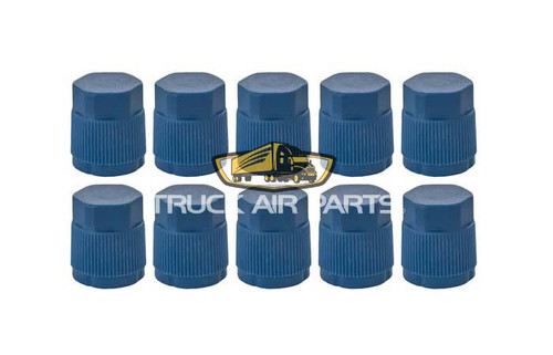 16-3443 MEI Truck Air A/C Service Caps-Blue/SOLD INDIVIDUALLY