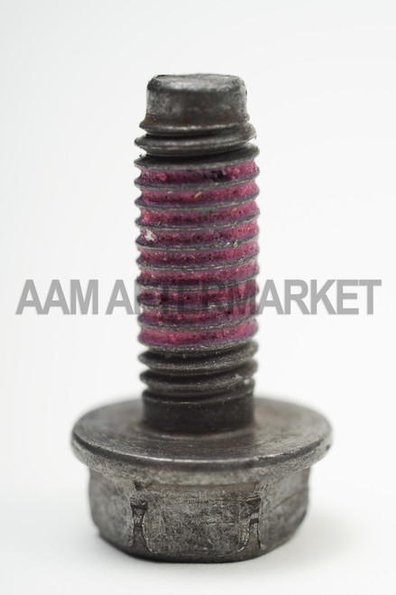 40002169 Cover Pan Bolt 8.6