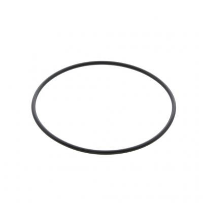 専用　7576 6 PAI 321316 CAT 3406E C15 Housing O-Ring Replaces 1075769