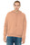 BELLA+CANVAS BC3729 Unisex Sponge Fleece Pullover DTM Hoodie