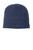 The North Face NF0A4VUB Mountain Beanie