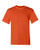 Burnt Orange