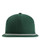 Forest Green/ White