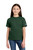 DarkGreen