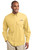 Goldenrod Yllw