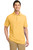Maize Yellow