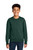 DarkGreen