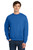 RoyalBlue
