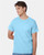 Hanes 5250 Unisex Authentic T-Shirt