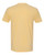 Next Level 6410 Sueded T-Shirt
