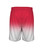 Badger Sport 420600 Ombre Short