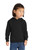 Port & Company CAR78TH Toddler Core Fleece Pullover Hooded Sweatshirt
