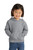 Port & Company CAR78TH Toddler Core Fleece Pullover Hooded Sweatshirt