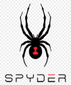 Spyder