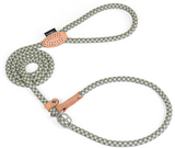 Dog Lead - Glowing Slip Lead