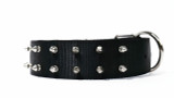 Dog Collar-T-REX Heavyduty Studded Collar