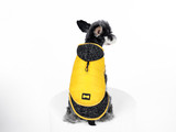 Coat-ALL SEASON Detachable Dog Coat
