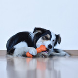 Dog Toy - Laroo - Chewy Dental Treat Bone