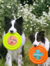Dog Toy - Laroo - Sonic Frisbee