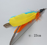 Rainbow feather