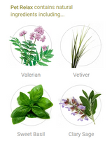 Calming - Pet Remedy Bandana Reversible