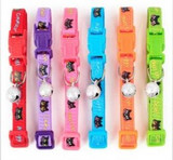 Cat Collar