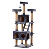 Cat Tree