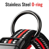 Dog Collar - True Love Basic Mesh