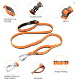 TrueLove Hands-Free Dog Leash - 2 Toned