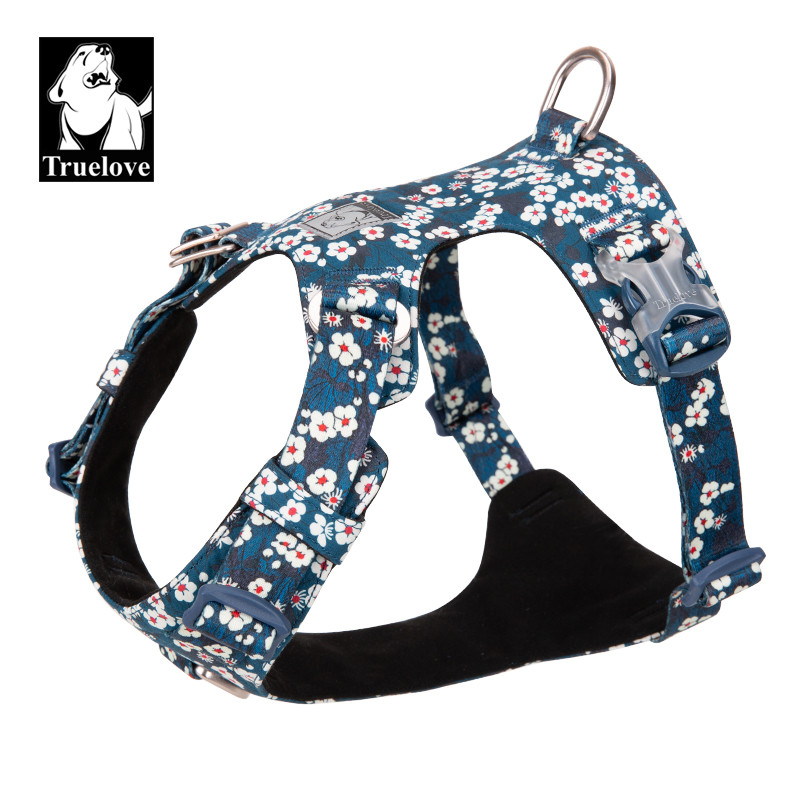 Dog Harness NZ The Proud Pet Store NZ