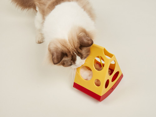 Interactive Cat Toy-Mouse in Cheese  - Battery Operated