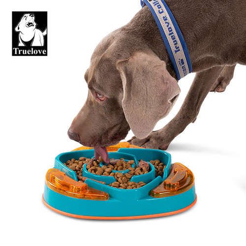 Interactive Bowl - Dog  Slow Feeder Teal