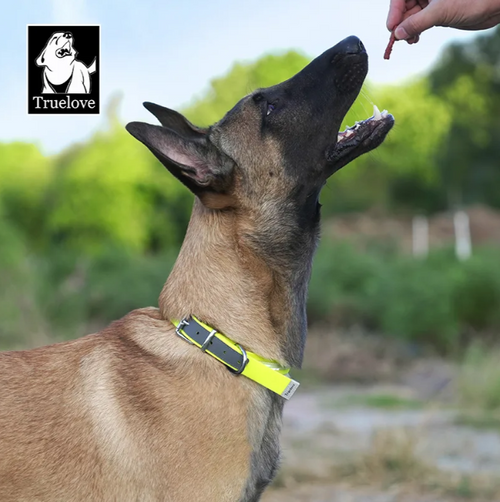 Dog Collar - TL Bio Thane and Reflective