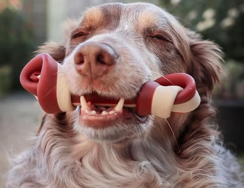 Check Out The Maks Patch Range